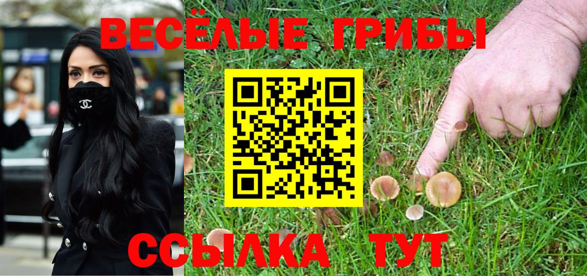 Псилоцибиновые грибы Psilocybe  Вход с VPN  Псилоцибиновые грибы MAGIC MUSHROOMS  Моздок 