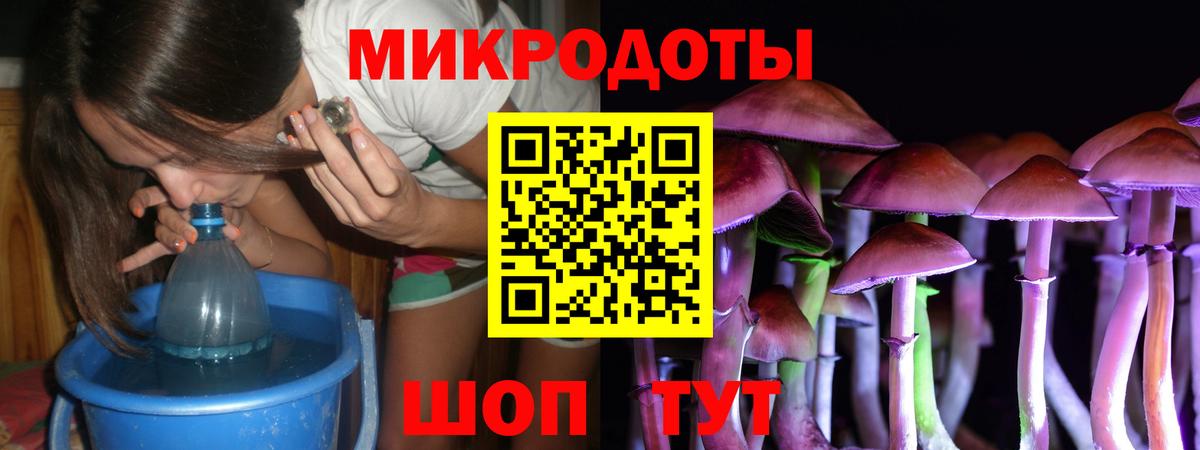 Галлюциногенные грибы Cubensis Моздок